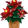 L’étoile de Noël