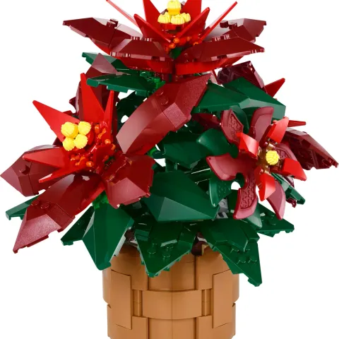 L’étoile de Noël