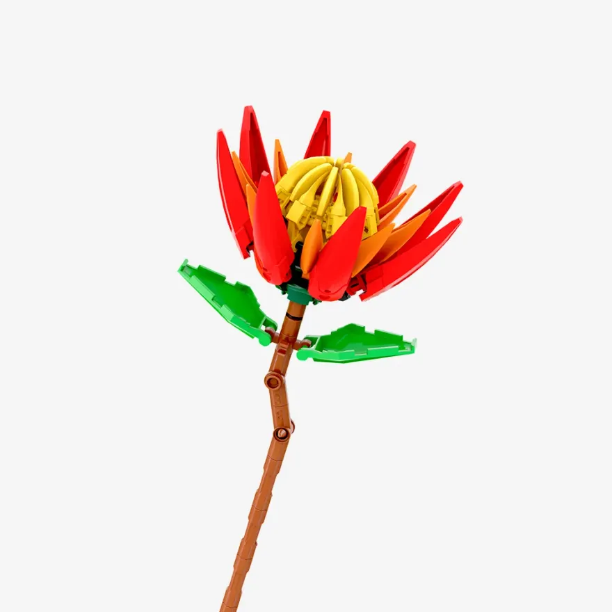 Pantasy 15014 Red Protea flower