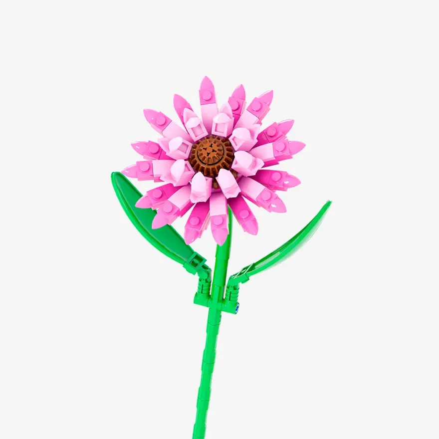 Pantasy 15022 Pink Barberton Daisy