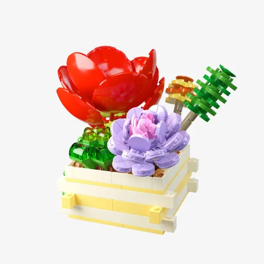 Succulent Garden Scarlet Whisper